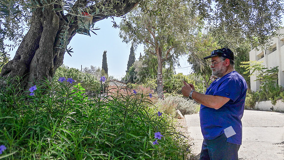 Photographer & Purple Flowers