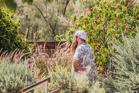Chassidic Observer 1