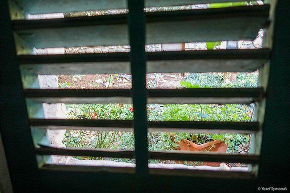 DSC02469