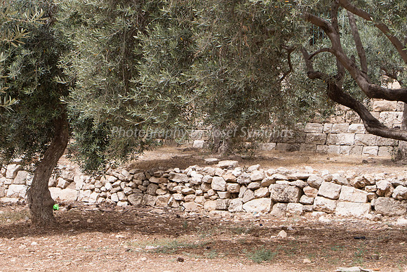 Temple Mount 140605 June 2014