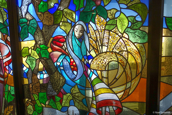 Misgav Ladach Hospital Windows-140425-1