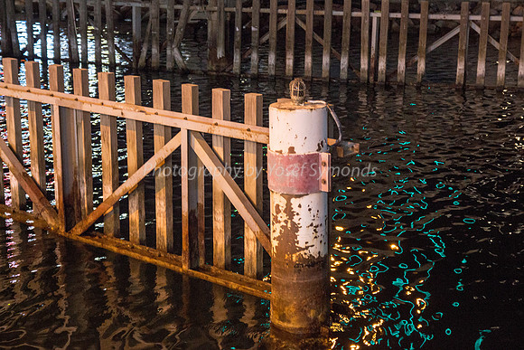 Fence in Harbor 180603-2