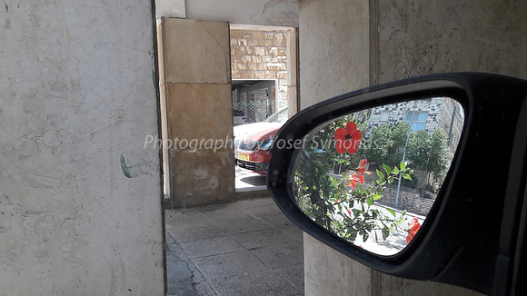 Red Hibiscus -  Gaza Street Jerusalem 3
