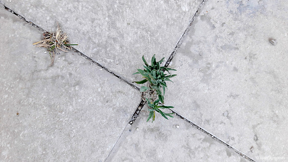 Cracks 170709-1