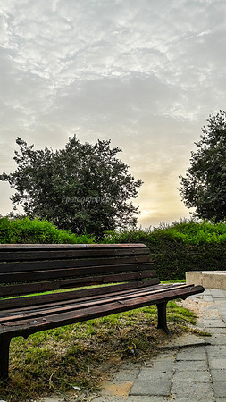 Sun and Park Bench on Maor 170711-2