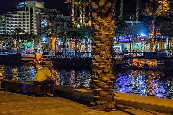 Thinking Eilat Harbor Promenade