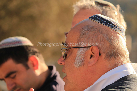 140209-HarHabayit-9788
