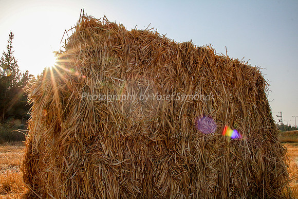 Haystack in Flare 170721-19