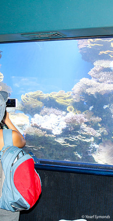 Observers of the Underwater 1