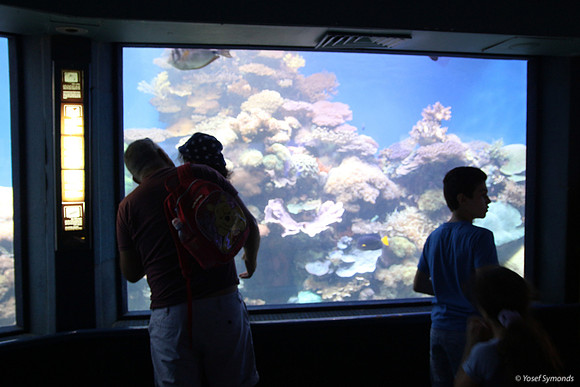 Observers of the Underwater 2