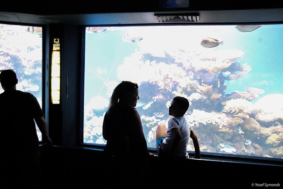 Observers of the Underwater 3