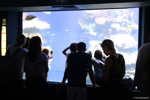 Observers of the Underwater7