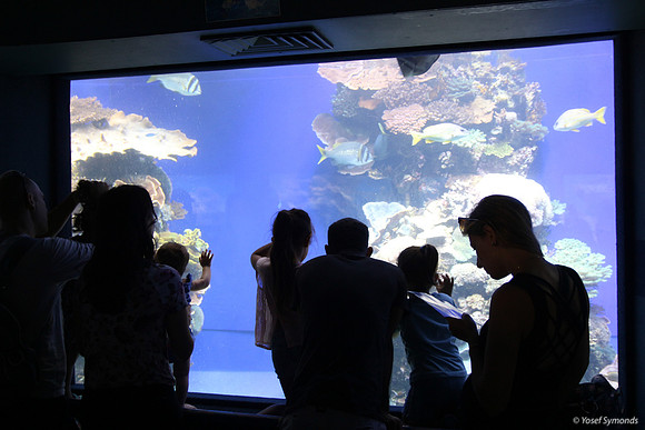 Observers of the Underwater 8