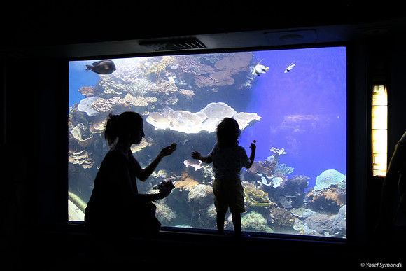 Observers of the Underwater 9