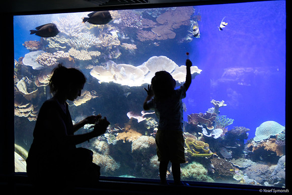 Observers of the Underwater 10