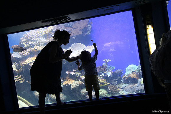 Observers of the Underwater 12