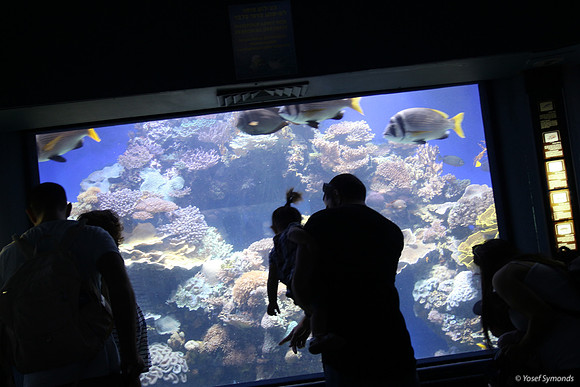 Observers of the Underwater 13