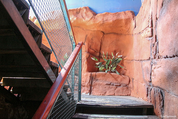 Exiting Aquarium to Sunlight