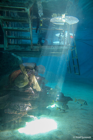 Underwater Access Platform - Eilat Observatory 2