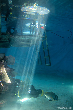 Underwater Access Platform - Eilat Observatory 3