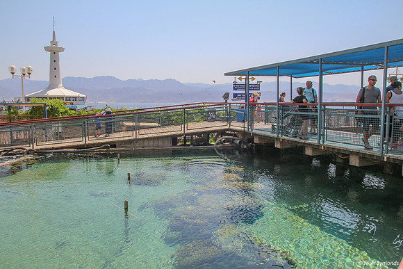Outside Pool at Underwater Observatory 1