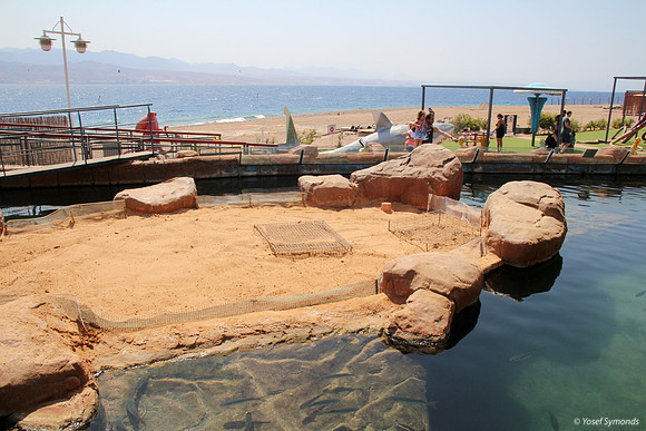 Outside Pool at Underwater Observatory 3