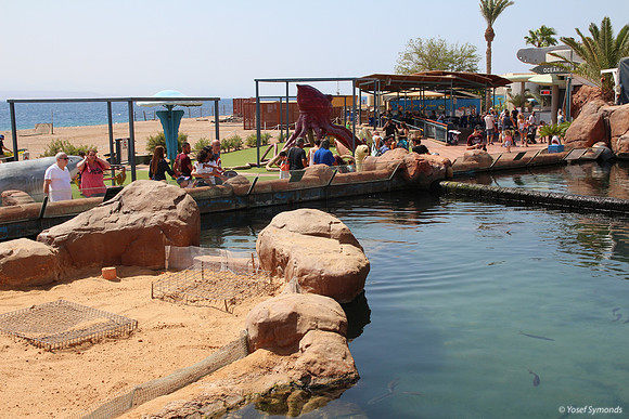 Outside Pool at Underwater Observatory 3