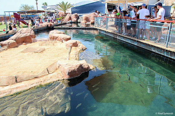 Outside Pool at Underwater Observatory 4