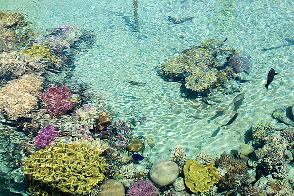 Outside Pool at Underwater Observatory 5