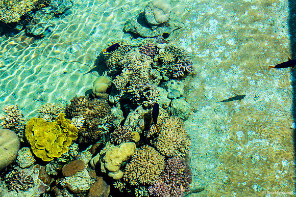 Outside Pool at Underwater Observatory 6
