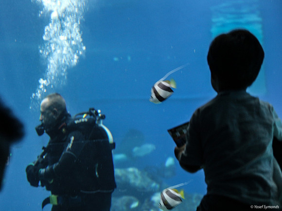 Observers of the Underwater 15