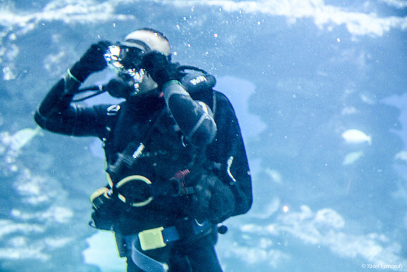 Diver in Aquarium 2