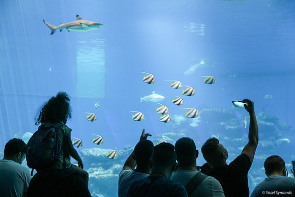 Observers of the Underwater 18