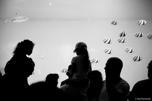 Observers of the Underwater 19