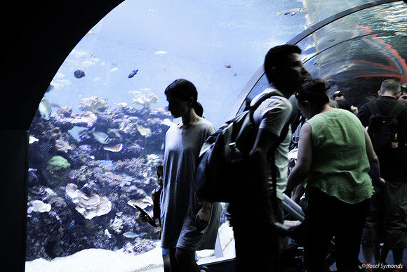Observers of the Underwater 20