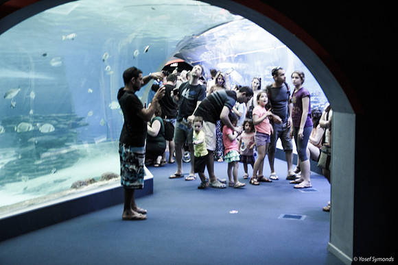 Observers of the Underwater 22