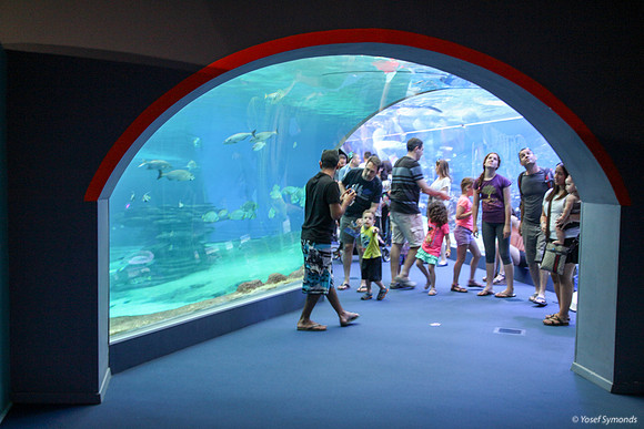 Observers of the Underwater 23