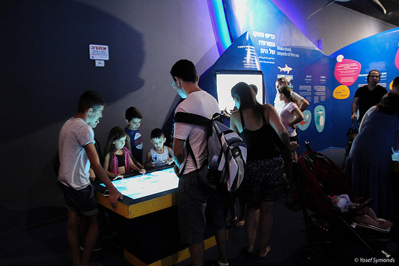 Observers of the Underwater 25