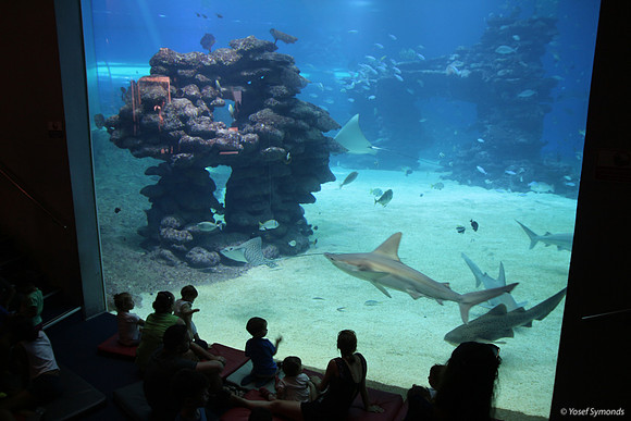 Observers of the Underwater 27
