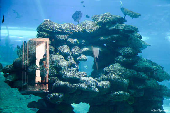 Reflective Diving Bell