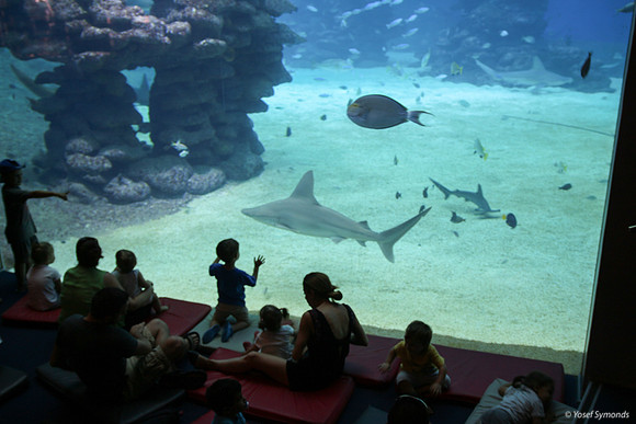 Observers of the Underwater 28
