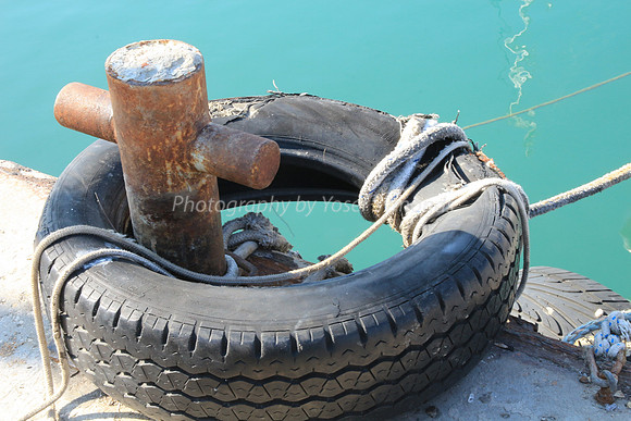 Jaffa Fishing Port