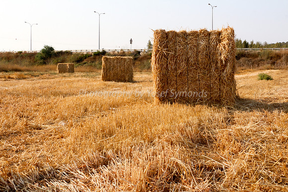 Haystacks in Field 170721-7