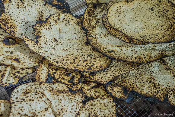 Matza Just Out of Oven 190408-5