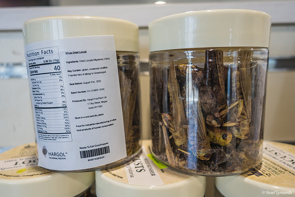 Locusts 220811-1