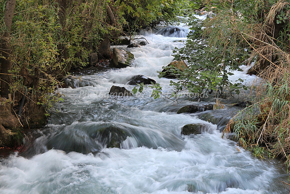 130528-Hula_Valley-2378-2