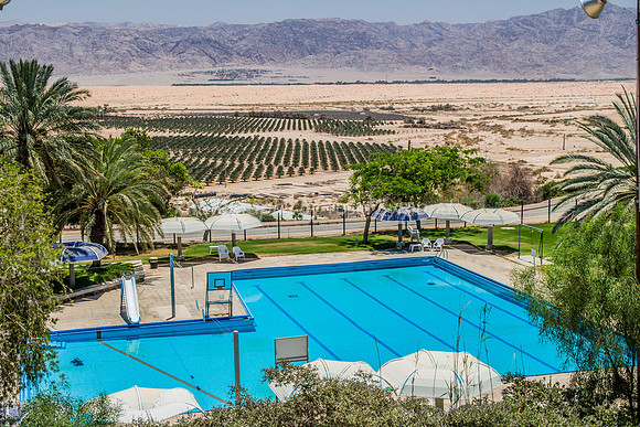 Swimming Pool, Date Palms and Hills of Jordan 1