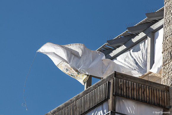 Sailboat Sukkah 241023-2