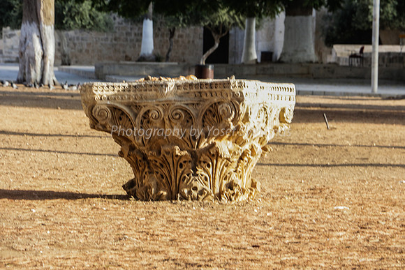 Ornate Column Head