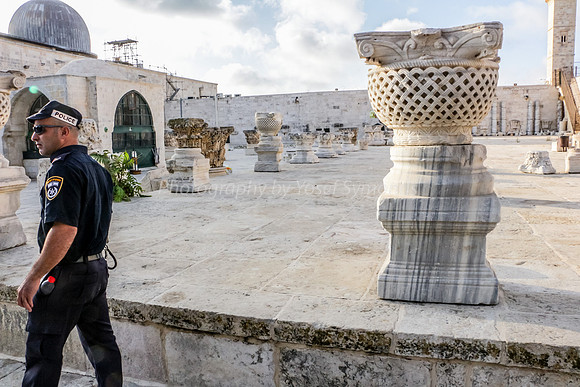 Surviving Column Capitals on South